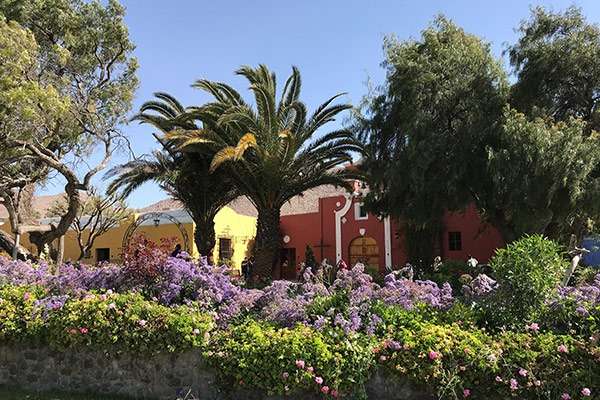 Gardens at the Founders Mansion in Aerquipa