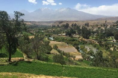 Panoramic View of Arequipa's Campiña