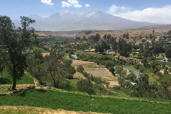 Panoramic View of Arequipa's Campiña