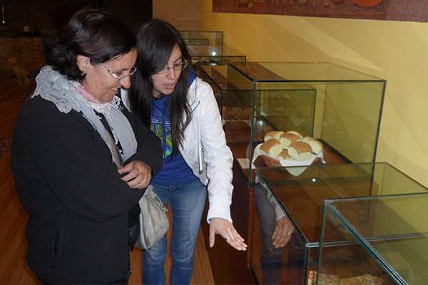 Guide Showing artifacts to visito at museum