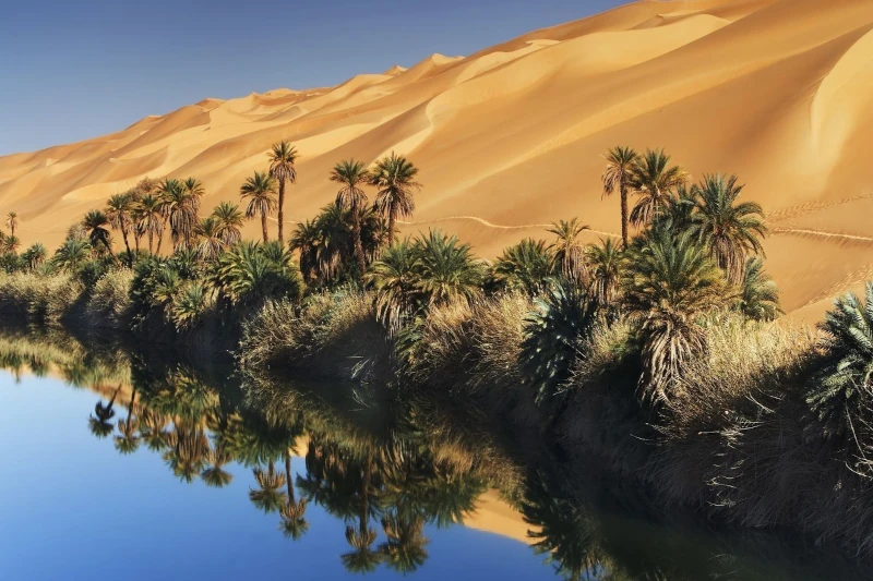 HUACACHINA OASIS PERU